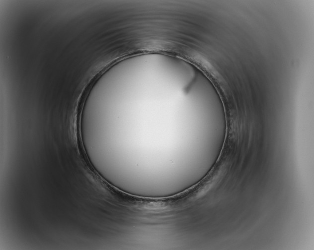 X0000088680986200706141351
