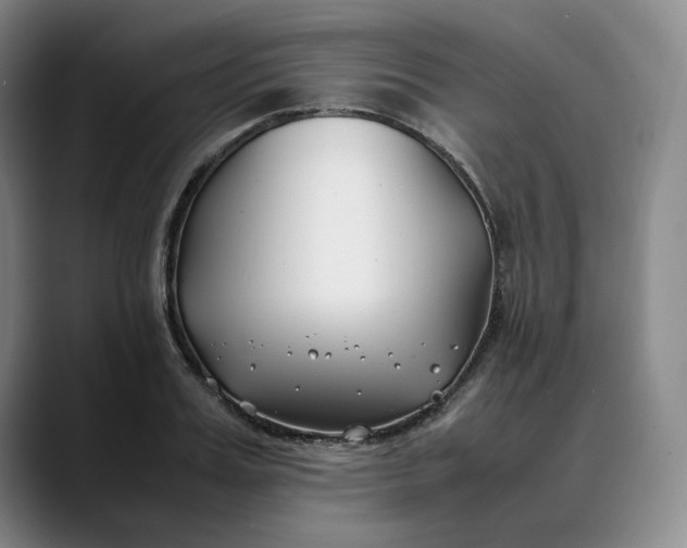 X0000088680987200706141351