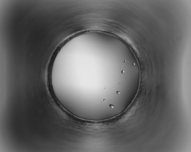 X0000088680991200706141351