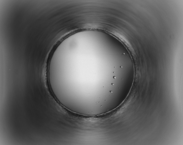 X0000088680992200706141351