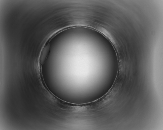X0000088680996200706141351