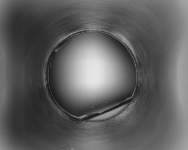 X0000088680997200706141351