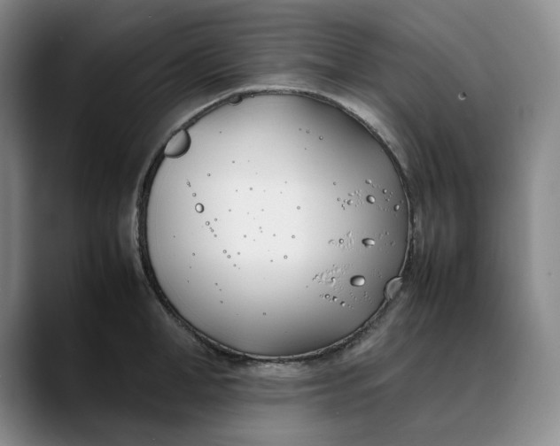 X0000088680998200706141351