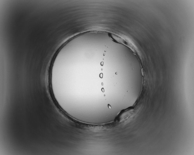 X0000088680999200706141351