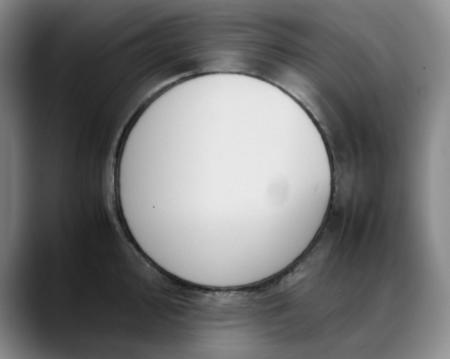 X0000088681000200706141351
