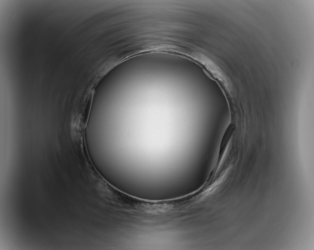 X0000088681001200706141351