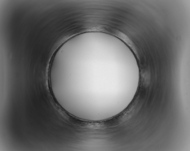 X0000088681002200706141351