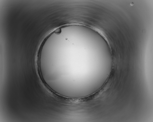 X0000088681003200706141351