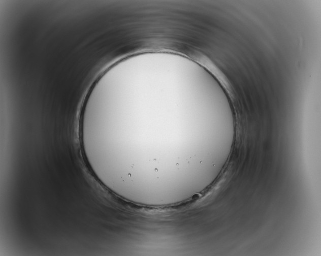 X0000088681004200706141351