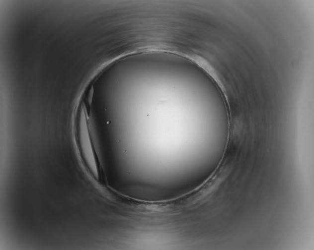 X0000088681005200706141351