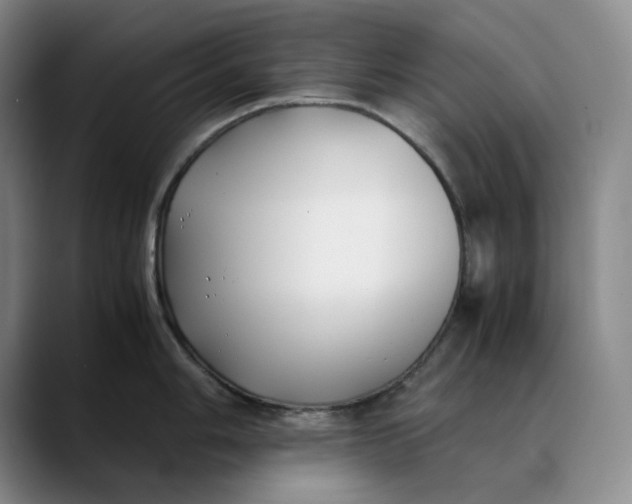 X0000088681006200706141351