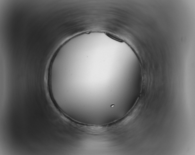 X0000088681007200706141351