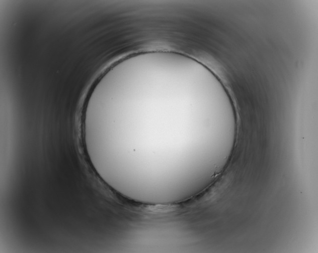 X0000088681008200706141351