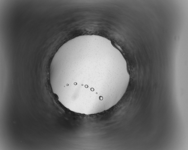 X0000088681009200706141350