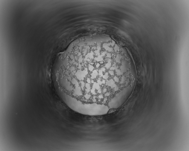 X0000088681013200706141350