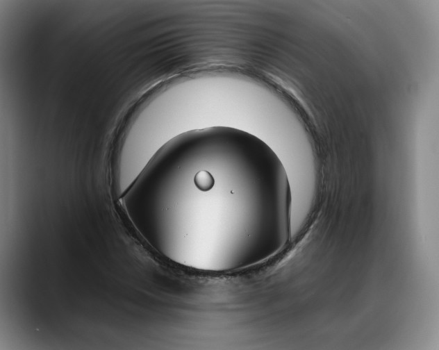 X0000088681018200706141350