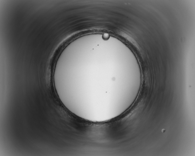 X0000088681021200706141350