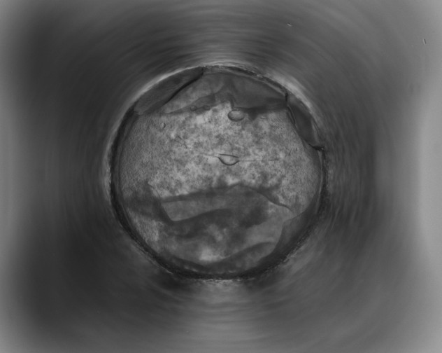 X0000088681024200706141350