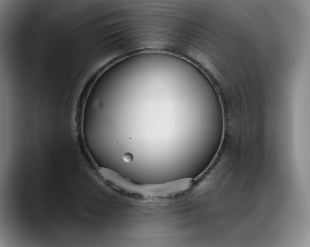 X0000088681026200706141350