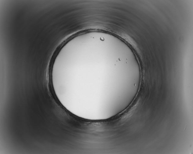 X0000088681028200706141350