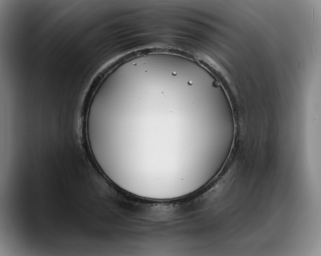 X0000088681029200706141350