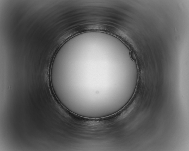 X0000088681033200706141350