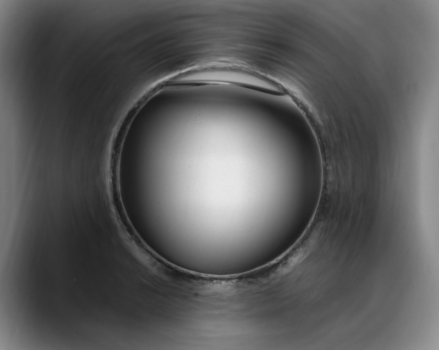 X0000088681038200706141350