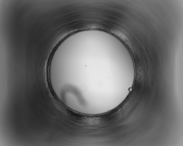 X0000088681039200706141351