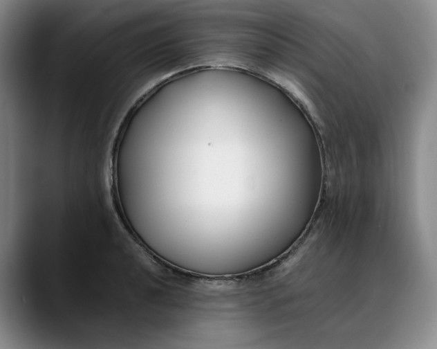 X0000088681040200706141351