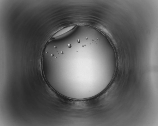 X0000088681041200706141351