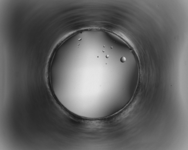 X0000088681045200706141351