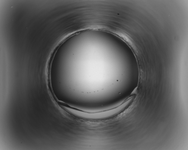 X0000088681046200706141351