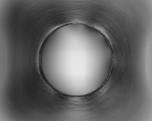 X0000088681048200706141351