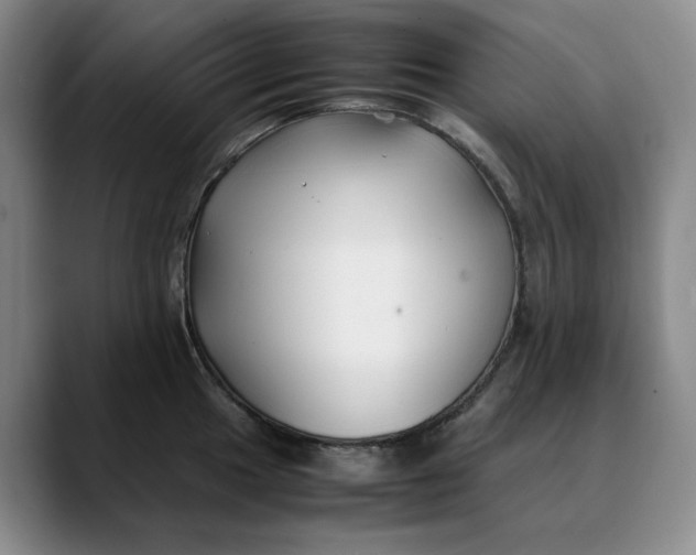 X0000088681049200706141351