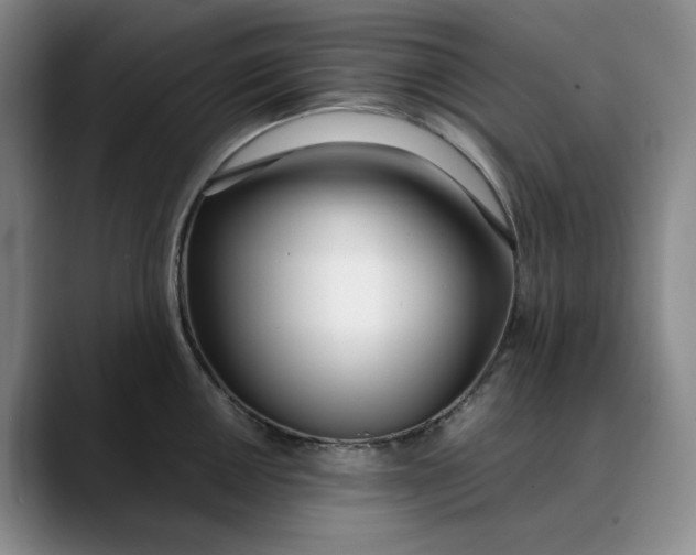 X0000088681050200706141351