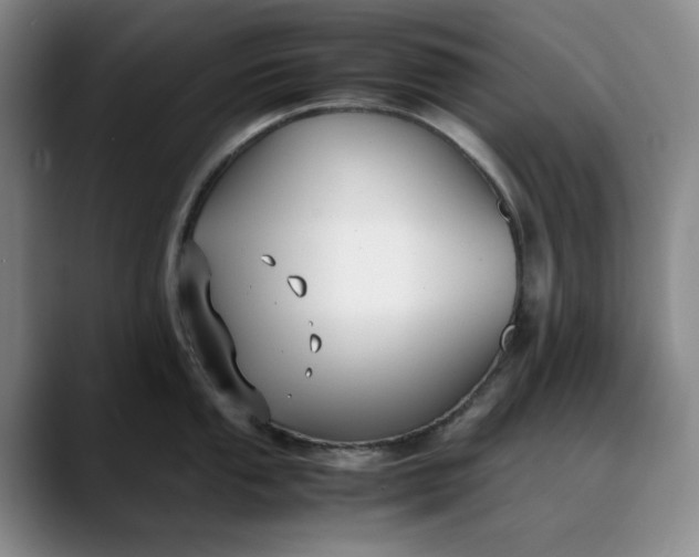 X0000088681053200706141351