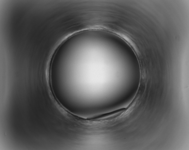X0000088681054200706141351