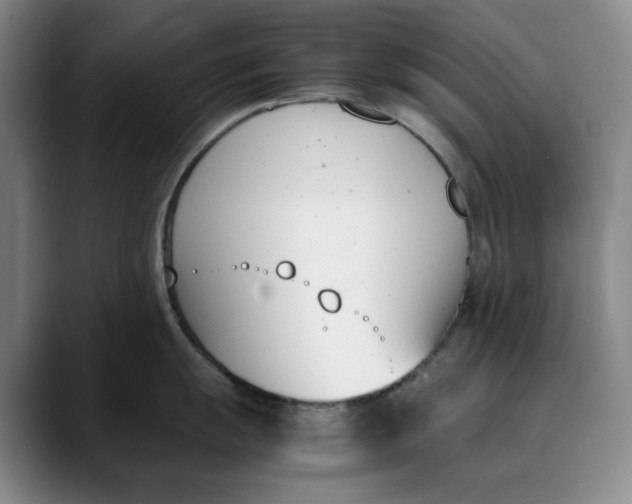 X0000088681055200706141351