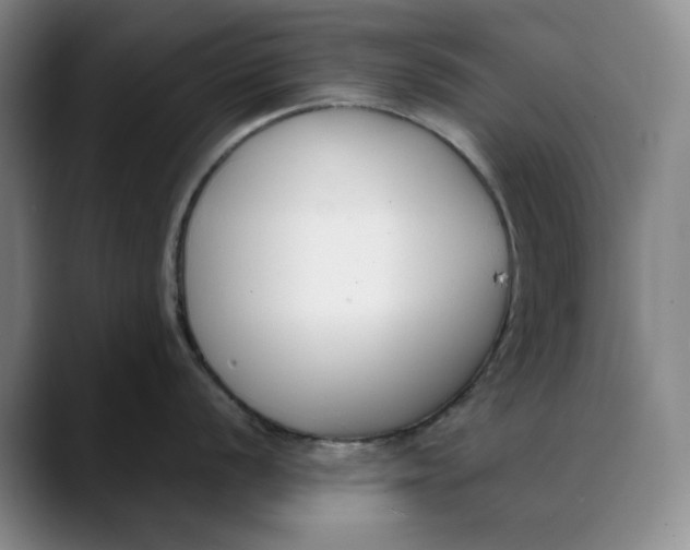 X0000088681056200706141351