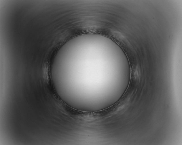 X0000088681060200706141350