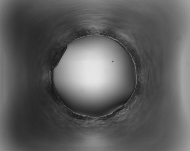 X0000088681061200706141350