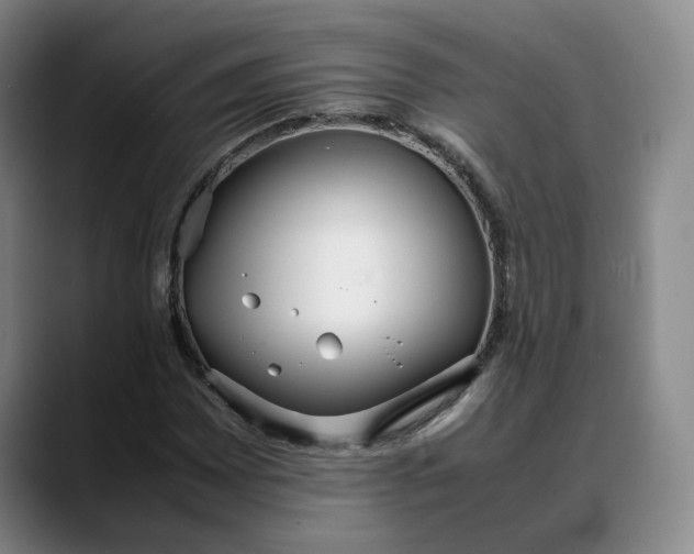 X0000088681065200706141350