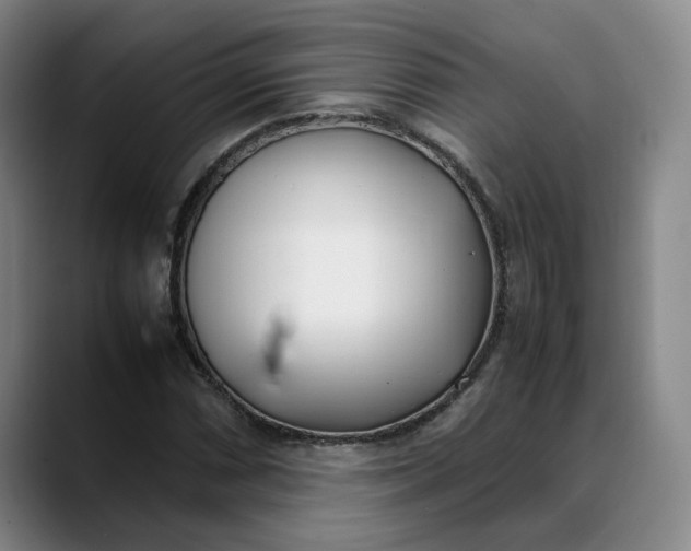 X0000088681066200706141350