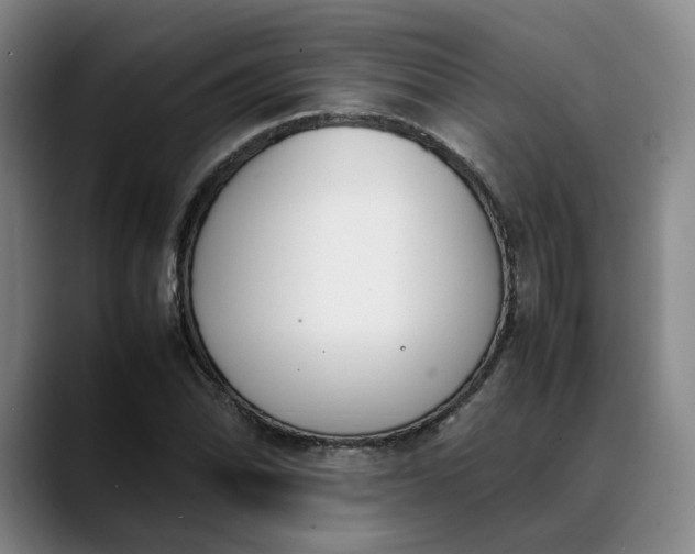 X0000088681070200706141350