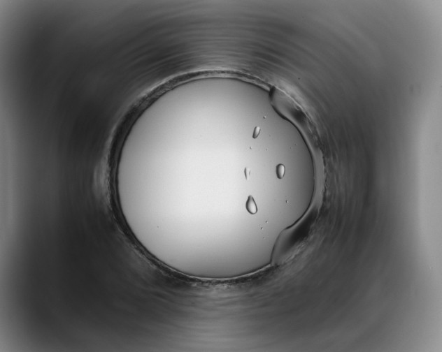 X0000088681072200706141350