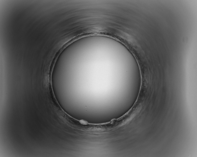 X0000088681073200706141350