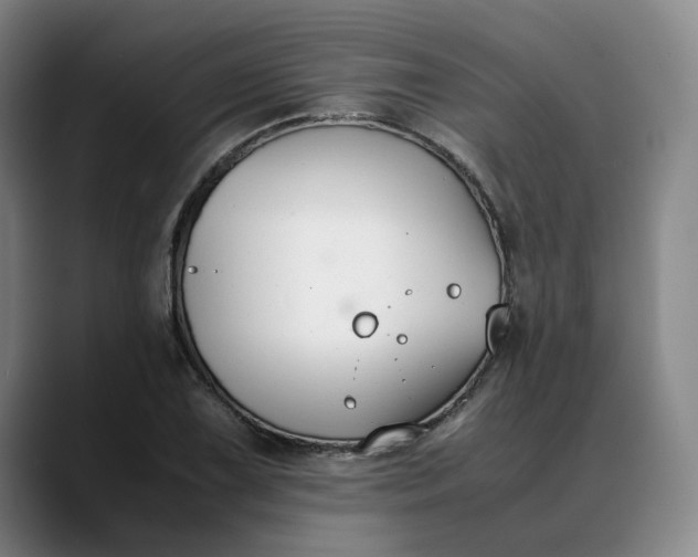 X0000088681075200706141350