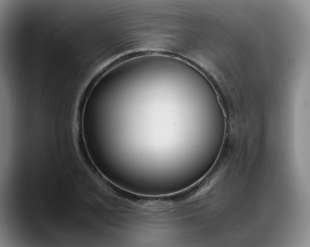 X0000088681077200706141350