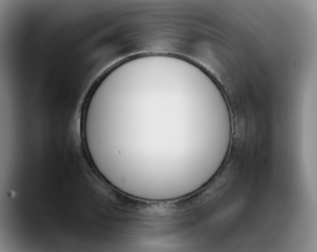 X0000088681078200706141350