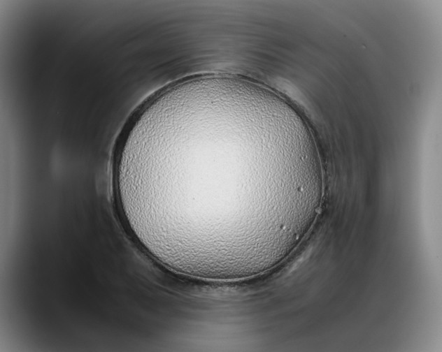 X0000088681079200706141350